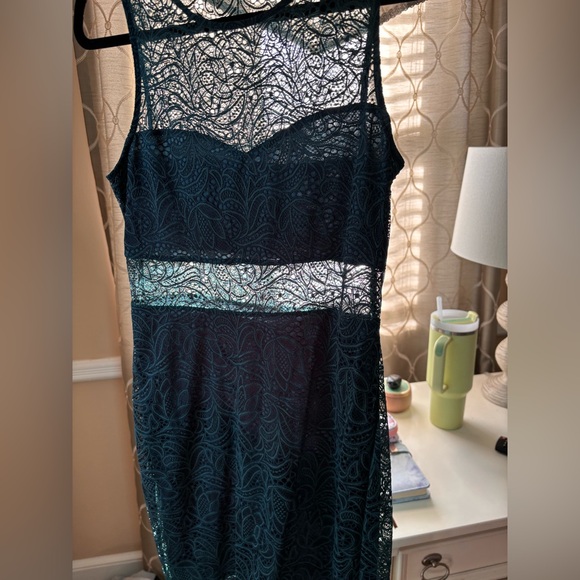 Express Sheer Lace Dress - Picture 3 of 5